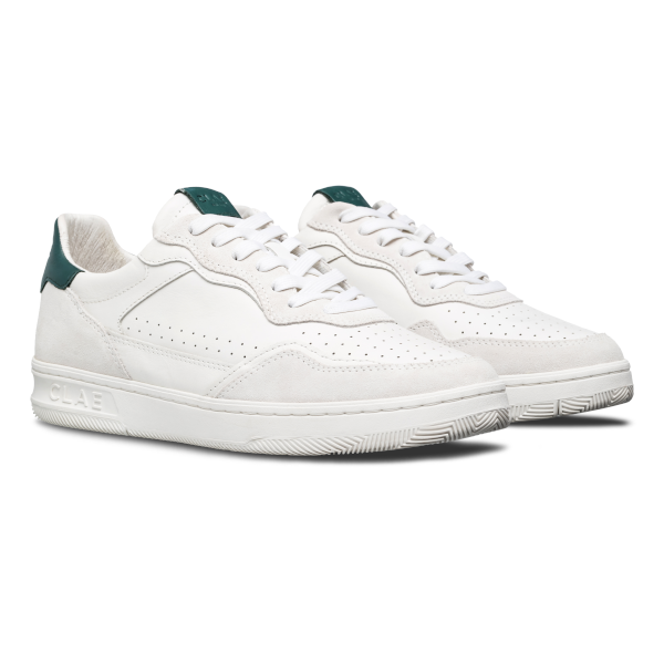 Clae Haywood (white pine needle)