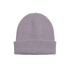 Colorful Standard Merino Wool Beanie (purple haze)